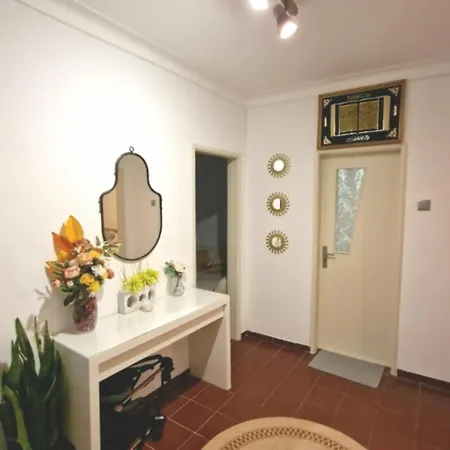 Single In T4 Cacilas *